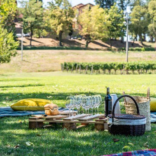 Accademia Vine Lodge Capriva del Friuli Zewnętrze zdjęcie